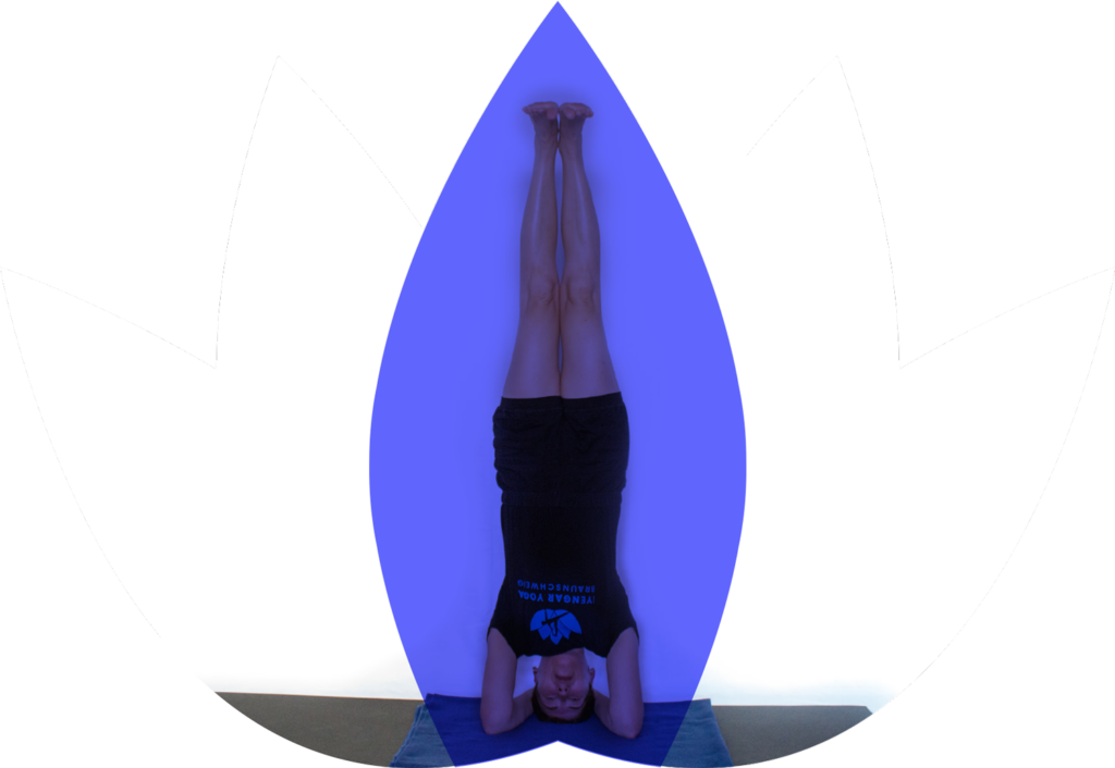 iyengar yoga braunschwieg blauer lotus weisheit